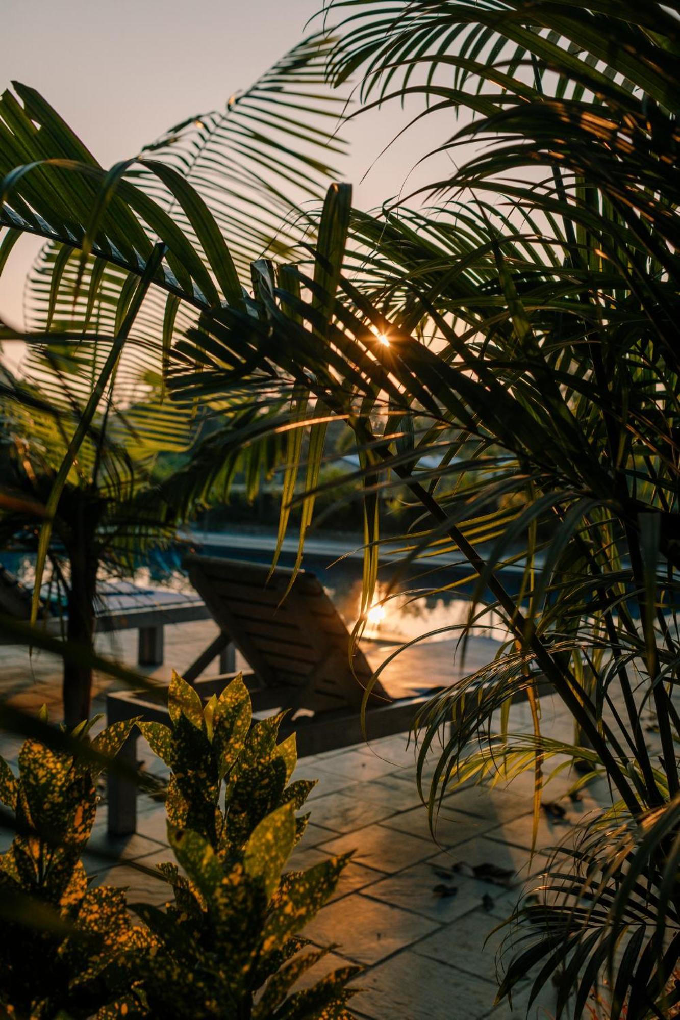 Hotel Parkside & Swimming Pool-Between Greenery And Azure ,Your Perfect Retreat 奇旺 外观 照片